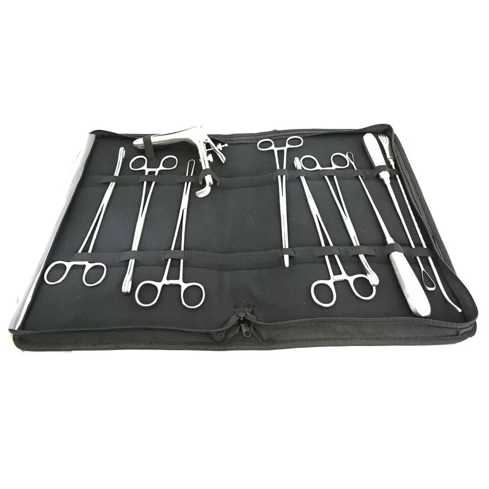 Legrado Instruments Set of 10 Pcs Kit Surgical Gyn Instruments 16-561S