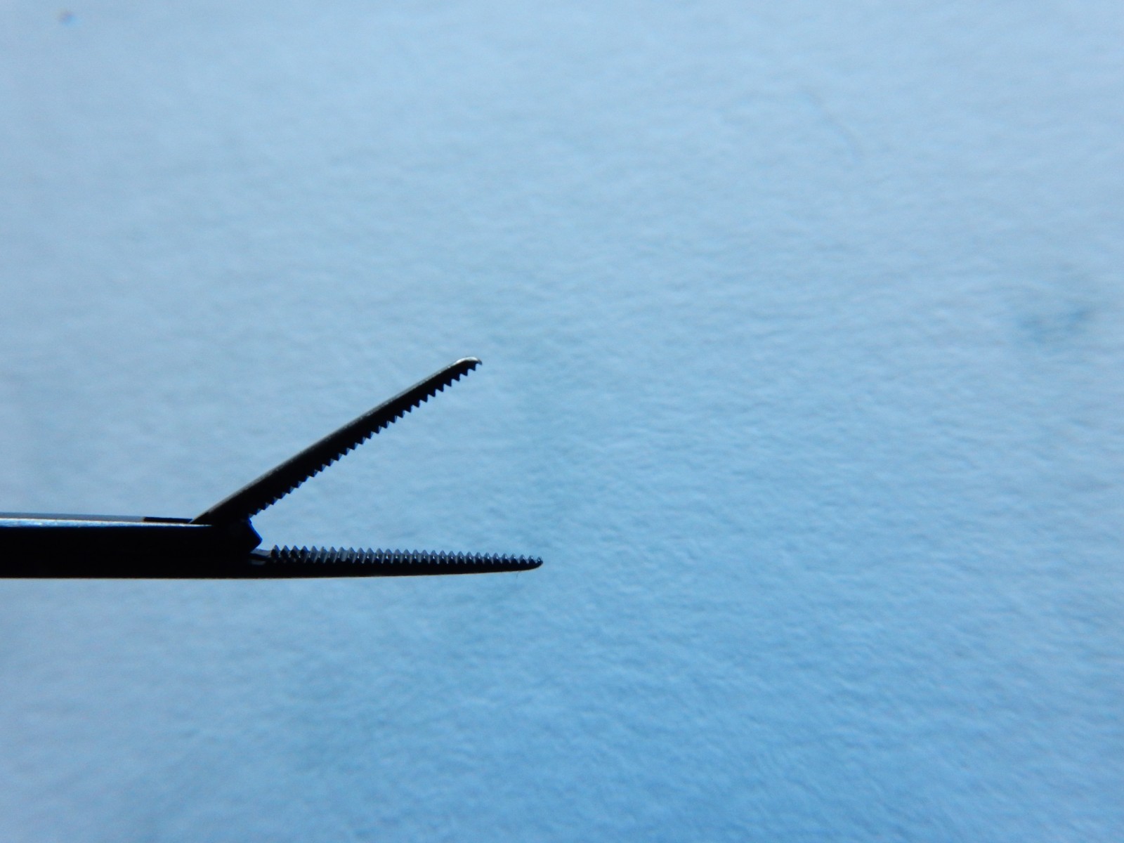 Richards 23-0038 Ebonized Alligator Forceps Straight Serrated 8mm Jaw Length