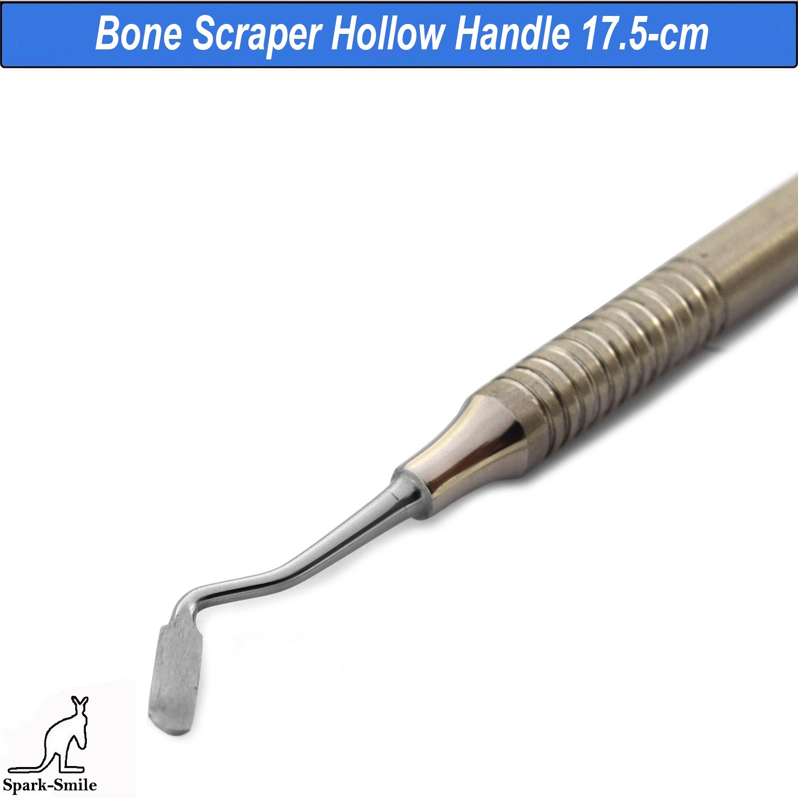Dental Bone Scraper Root Pick Grafting Implantology Surgical Instruments 5,PCS