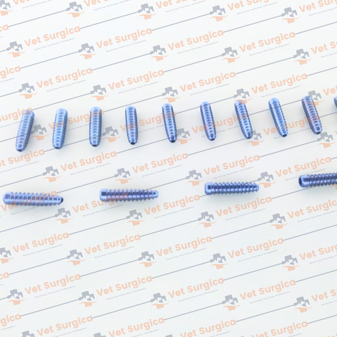 ACL (Interference) Screw Dia: 8mm Length 25 & 30mm with Screwdriver 21Pcs Set Ti