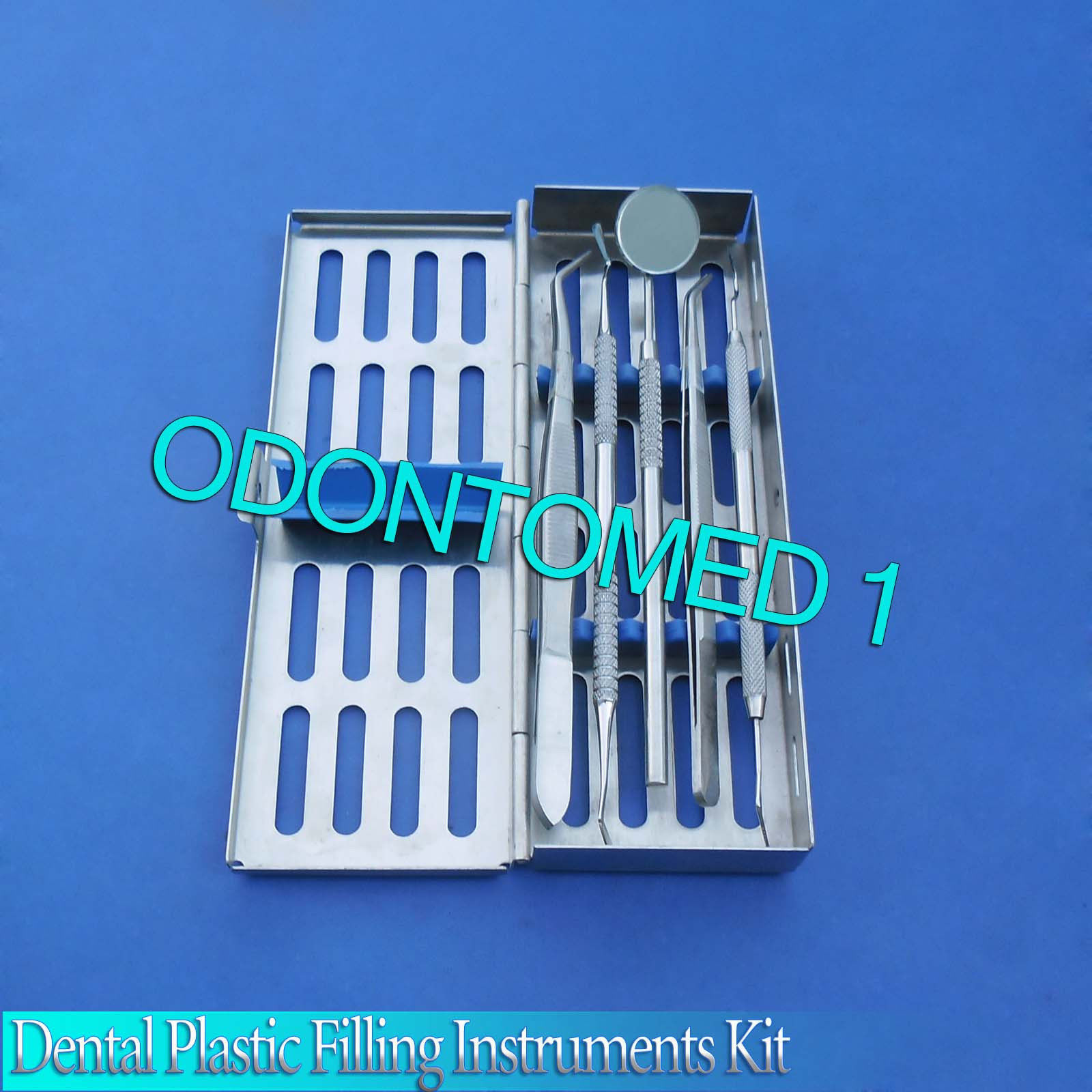 Set Of 6 Pcs Dental Plastic Filling Kit Surgical Dental Instruments,DS-605