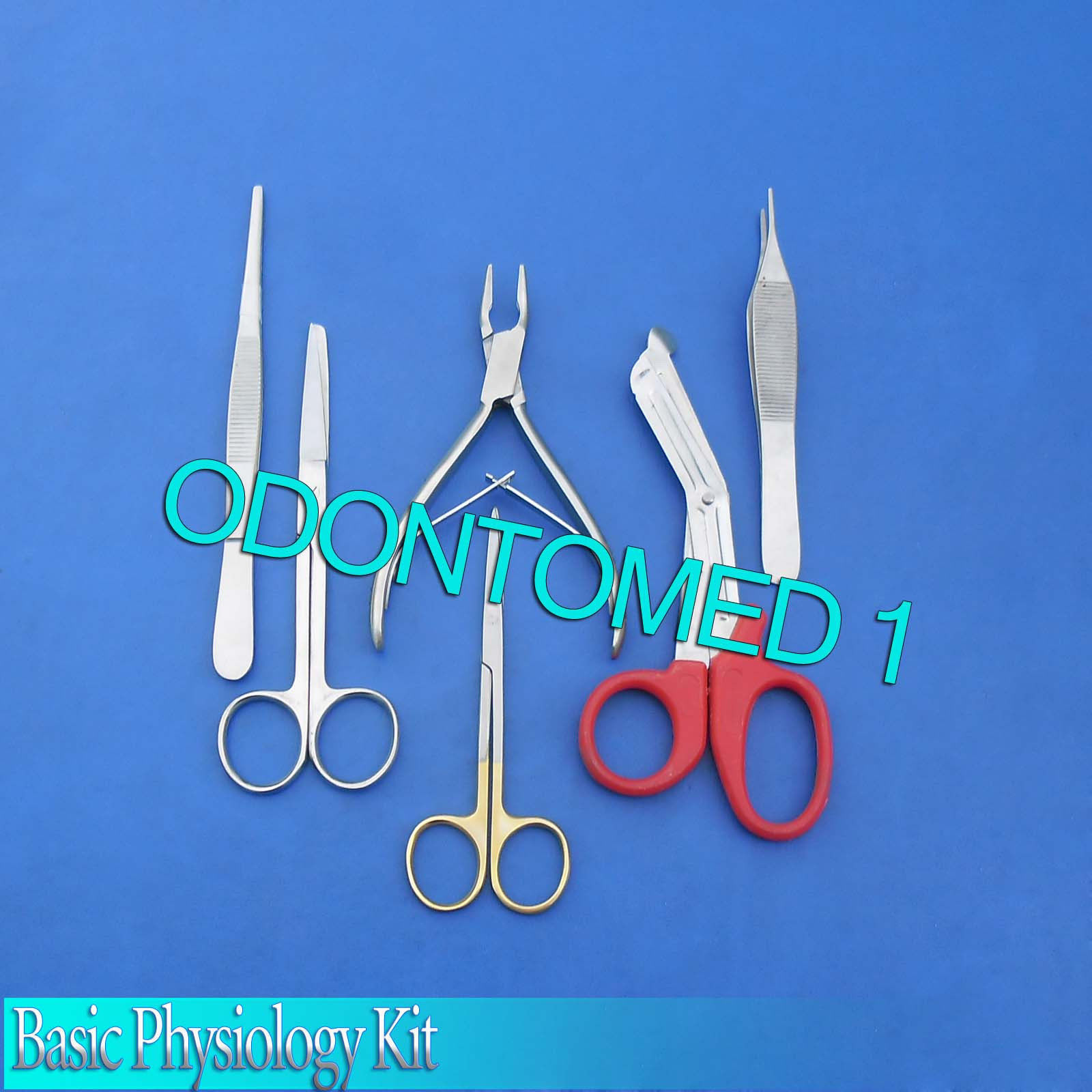 Basic Physiology Kit Surgical Dental Instruments,DS-606