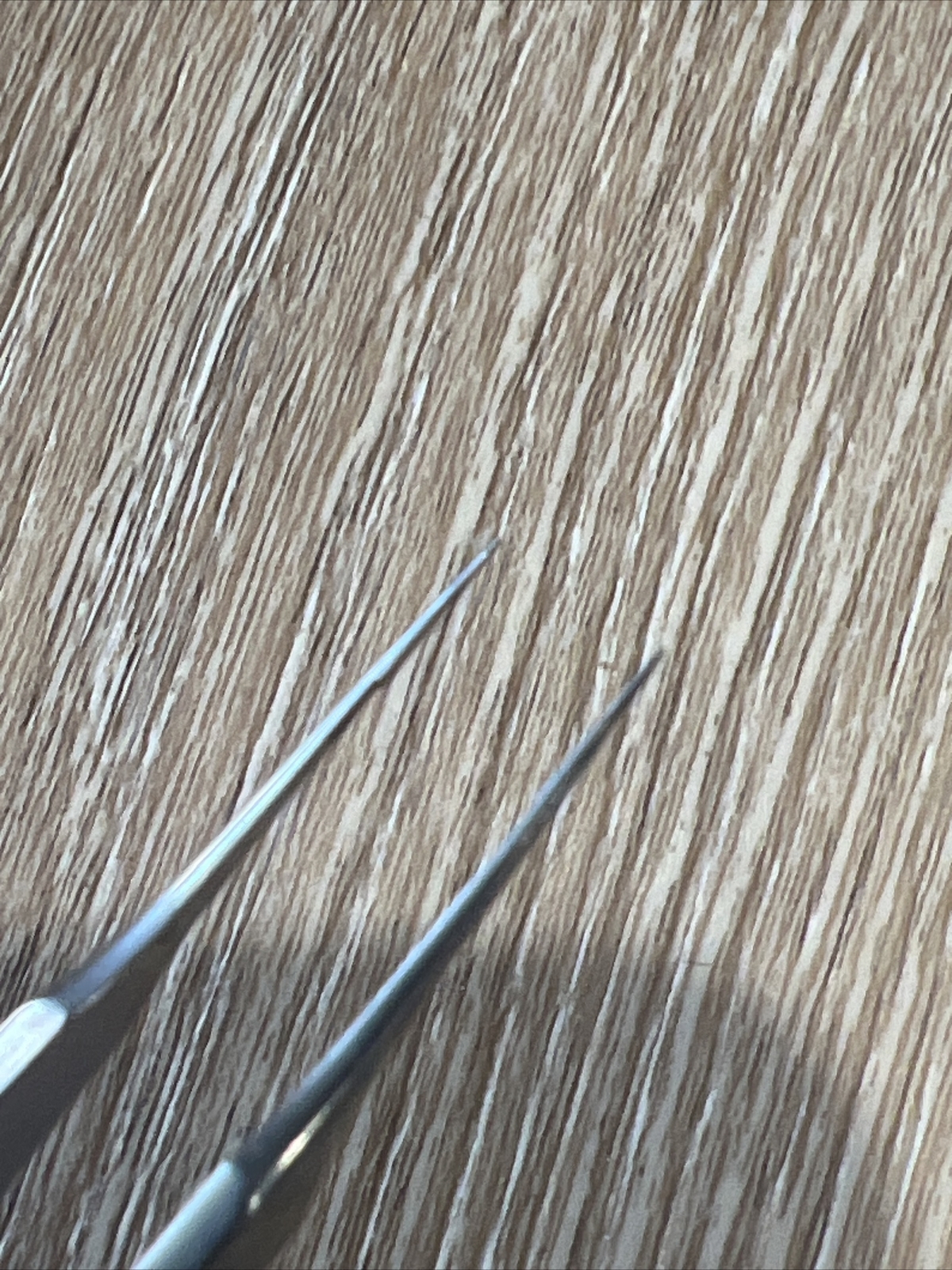 Bonn Suturing Forceps Ophthalmology Ophthalmic