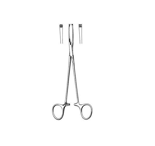 12 Judd-Allis Tissue Forceps, 7.1/2″, Straight, Delicate, 3 x 4 Teeth