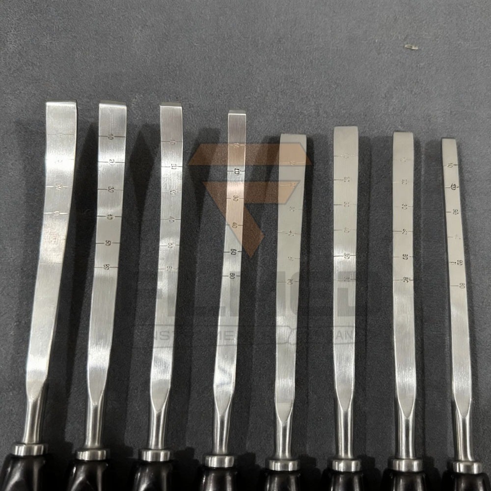 Orthopedics Osteotomes Bone Osteotomes Straight Curved Veterinary 8 Pcs Set