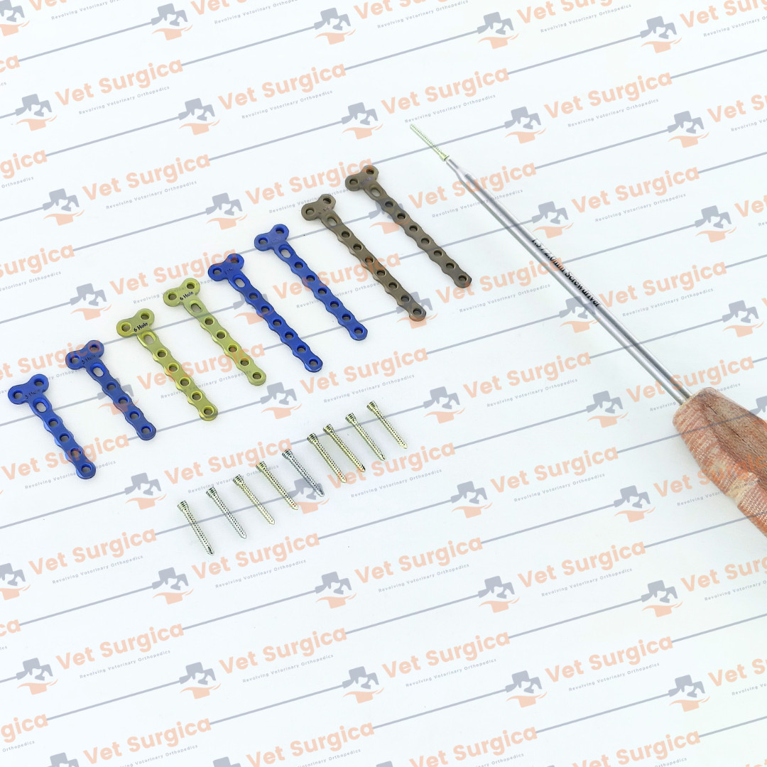 Veterinary 2.0mm Locking 2 Hole Head 5-8 Holes T Plate with Screws 69 Pcs Set Ti