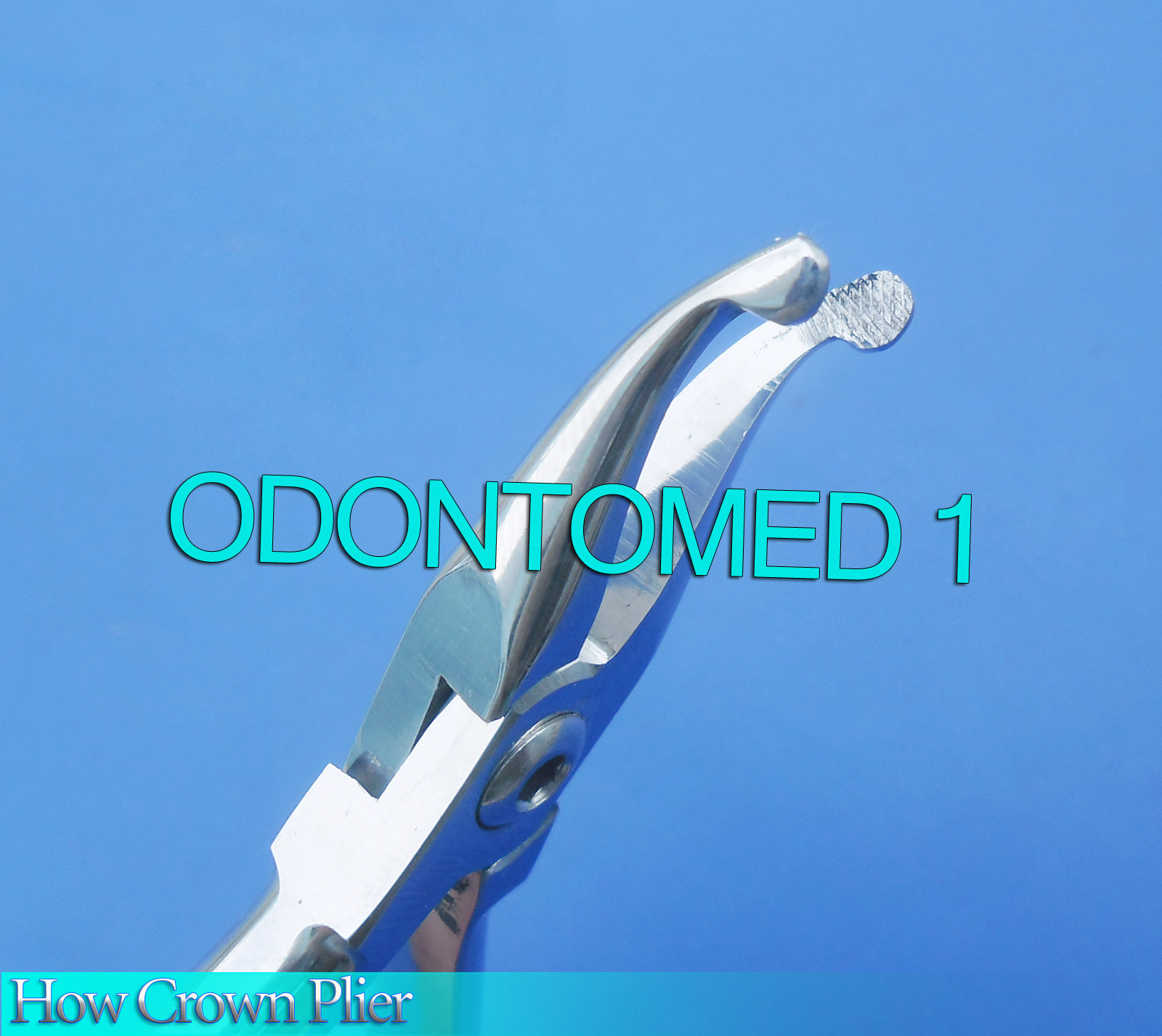 3 How Crown Plier Curved Dental Orthodontics Surgical Instruments