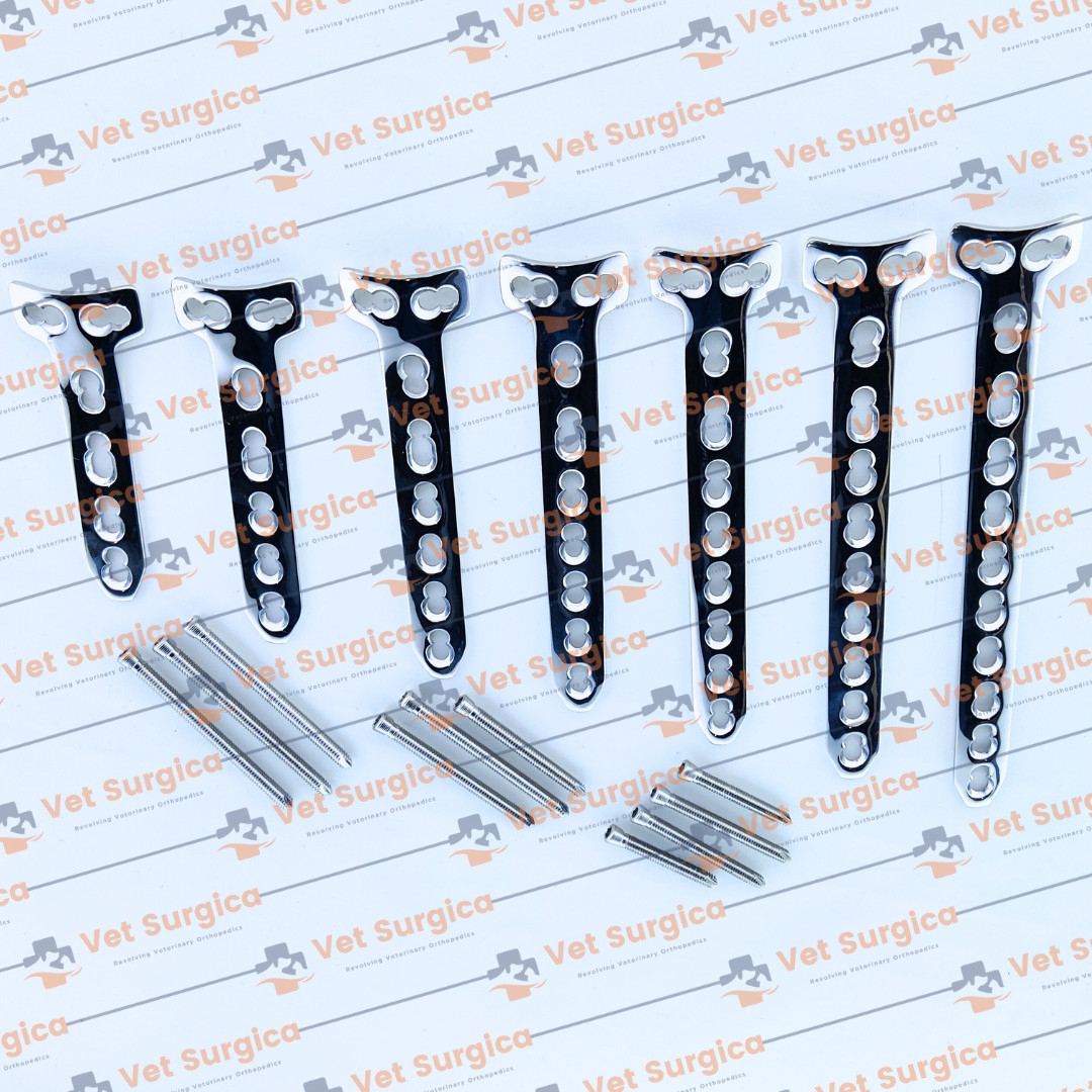 4.5/5.0mm T Buttress Locking Plate 4H to 10 Holes & Locking Screws 93Pcs Set