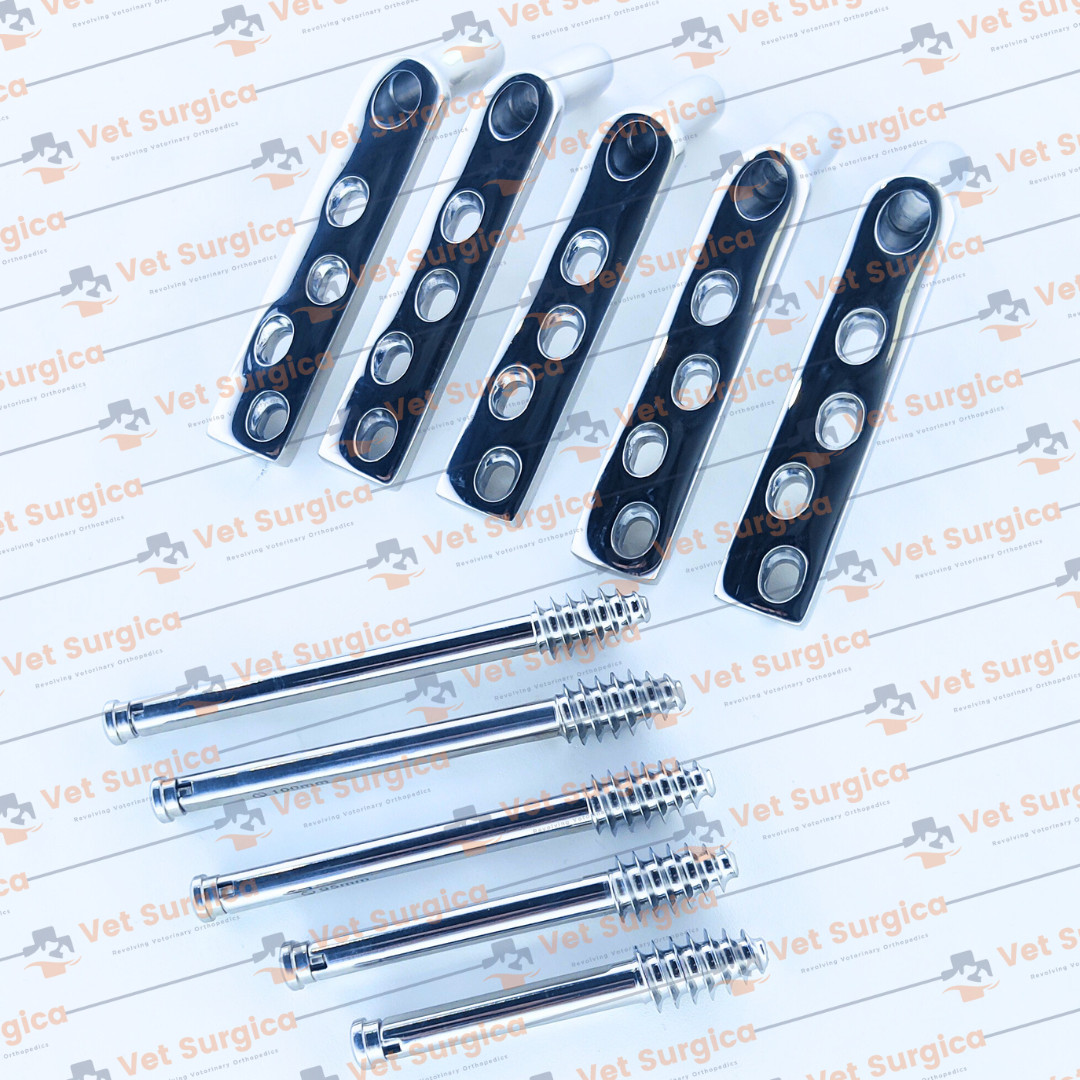 DHS 4.5mm DCP Plates 135° 4 Holes with Lag Screws 80mm to 100mm 10 Pcs Set SS