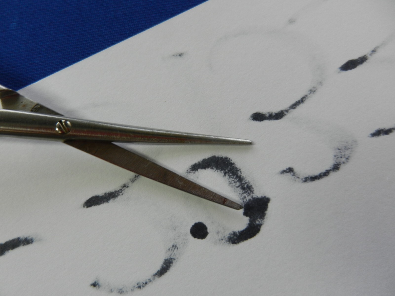 E3933 V. Mueller RH1651-001 Vital Metzenbaum Curved Blunt Scissors 5.75″ Long