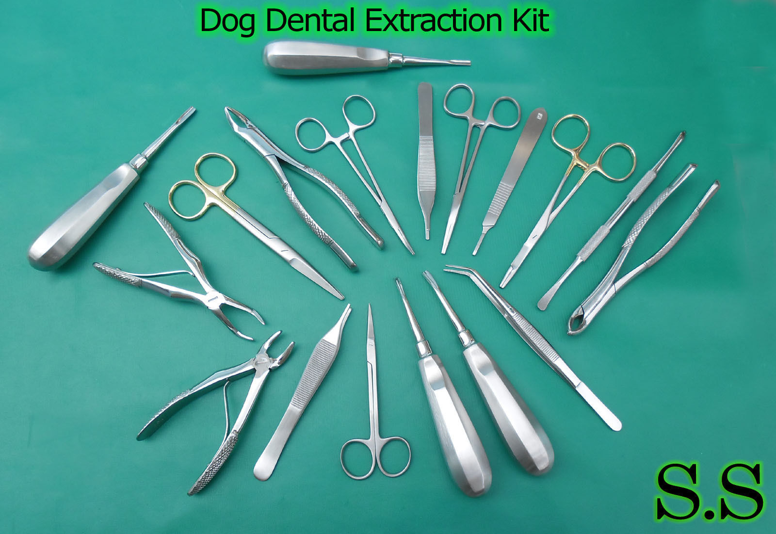 Dog Dental Extraction Kit Surgical Dental Instruments