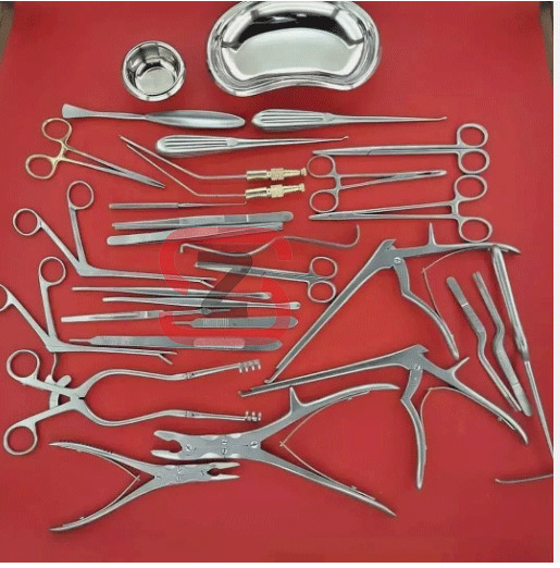 Neuro Spinal Surgery Surgical Orthopedic Instruments 20-Pcs Set high Quality