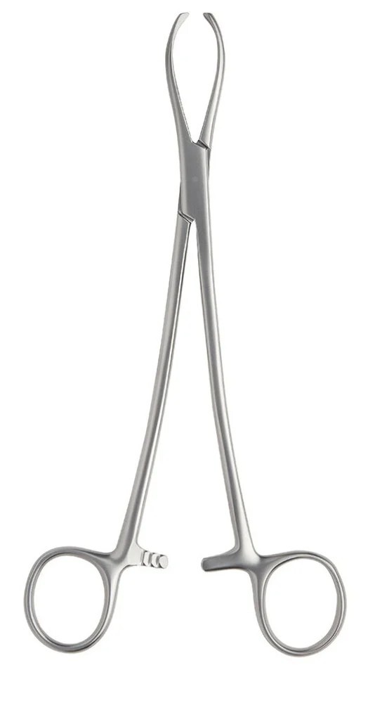 Sliver Littlewood Tissue Forceps 2×3 teeth Stainless Steel Size 8″ Set of 2
