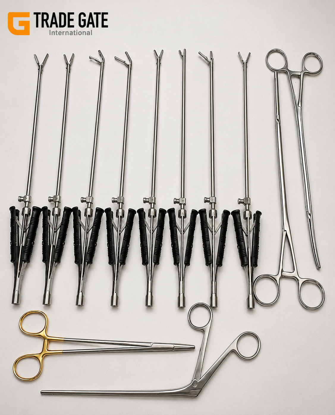 Valve Cardiac Surgery Premium Quality 12Pcs Surgical Instruments Set