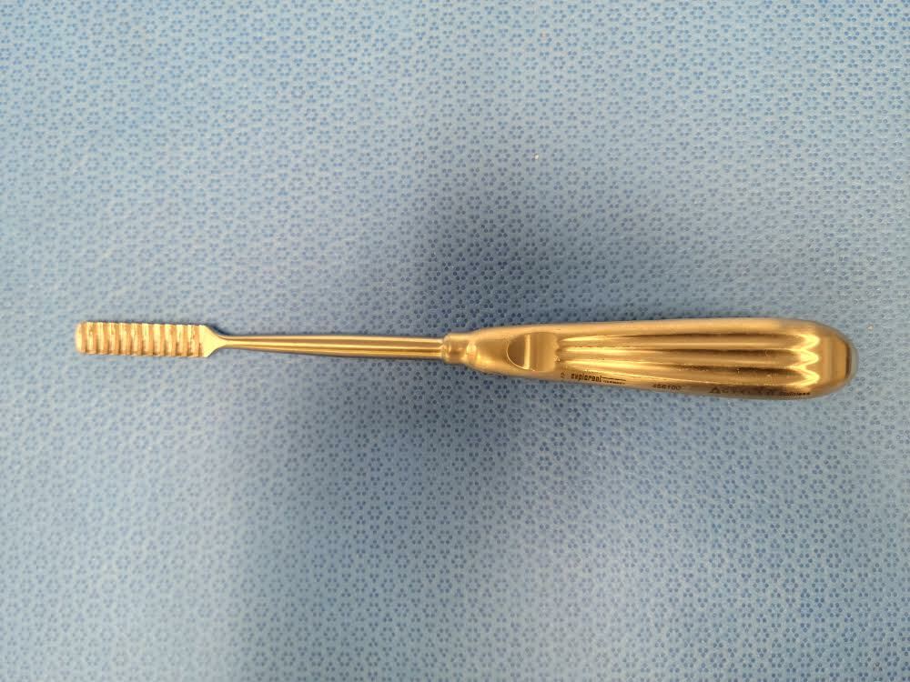 Gyrus 456100 Parkes Surgical Nasal Rasp w/ 11 Coarse Teeth, Down Cutting