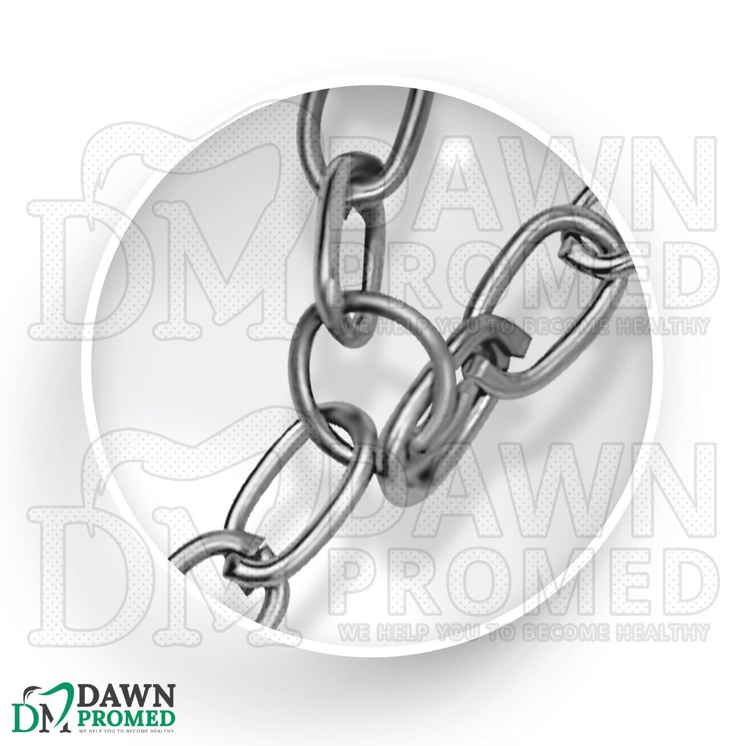 10 Pcs Triple Chain Hook 2″ Three Steel Hooks on Ring to Hold Tissue & Specimens