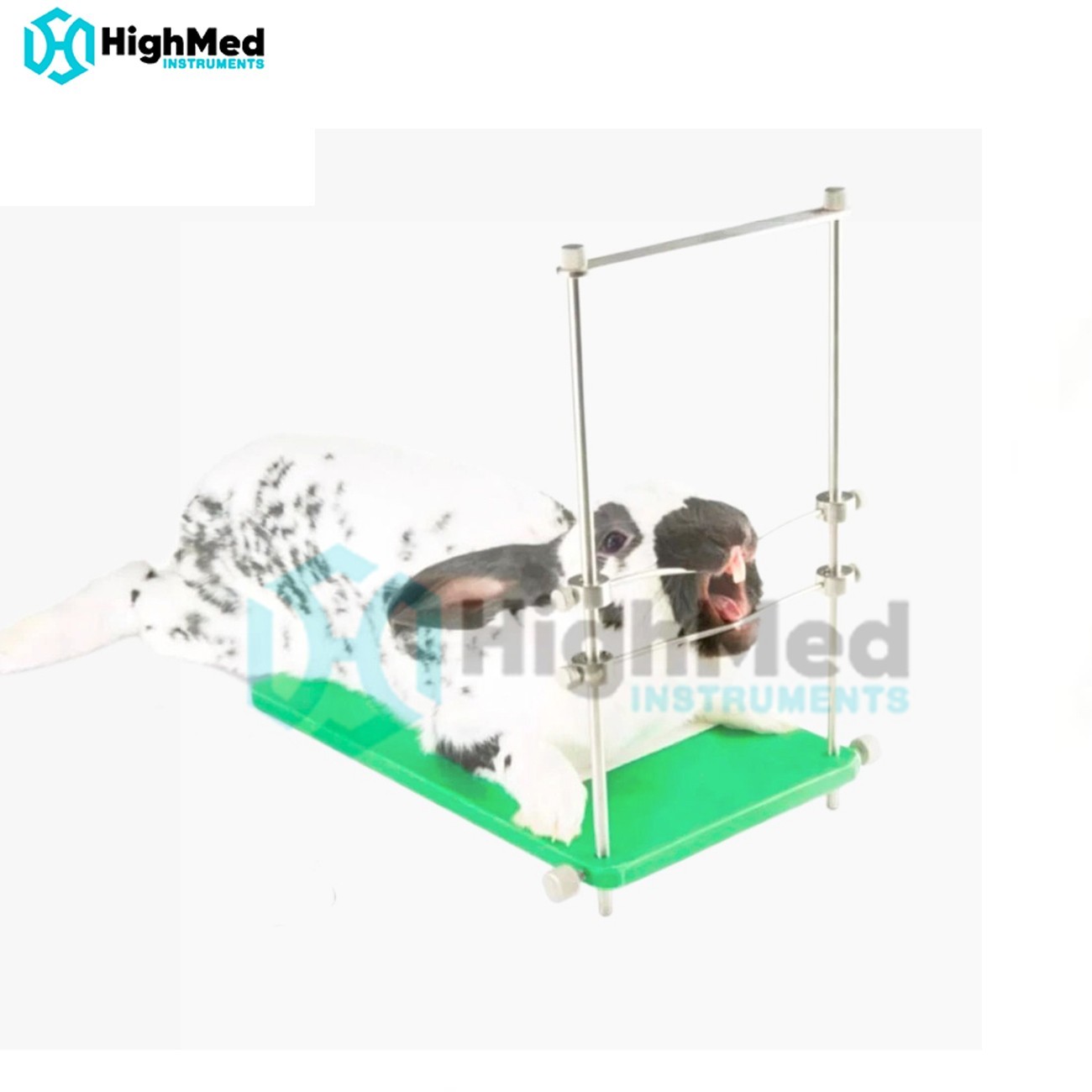 Rabbit Rodent Table Top Mouth Gag Veterinary small Animal Speculum instrument