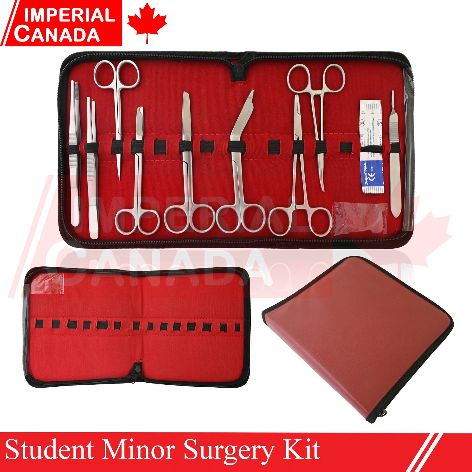10 Minor Surgery Student Kit Medical Surgical Instruments Set German Gra DS-2700