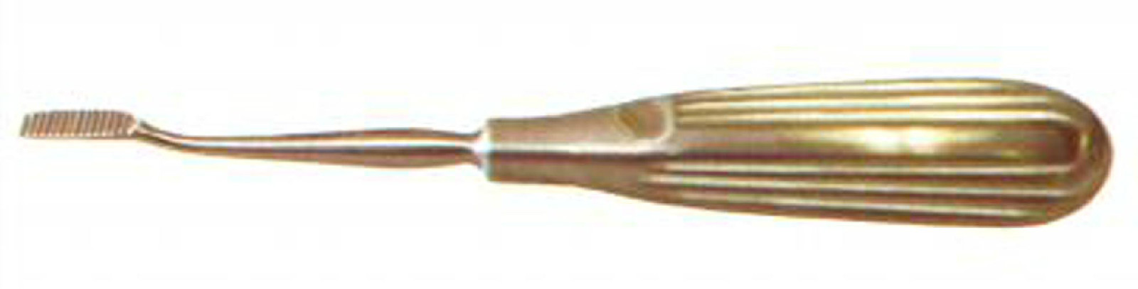 BONE FILE Surgical Veterinary Instruments