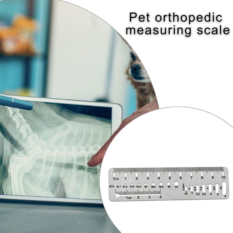 High Precisions Veterinary Measuring Instrument Stainless Steel Pet Bone Tool