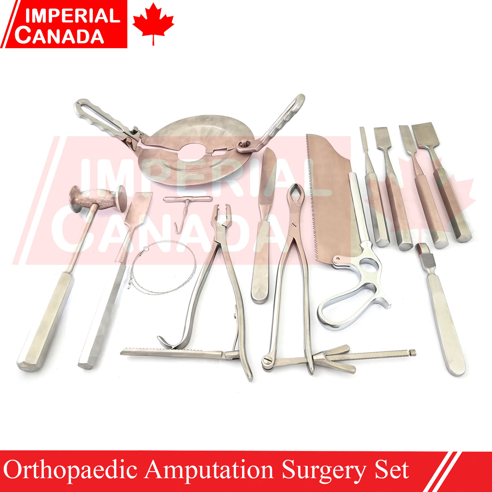 17 Pcs Orthopaedic Amputation Surgery Set Basic Bone Medical Tissue DS-1647