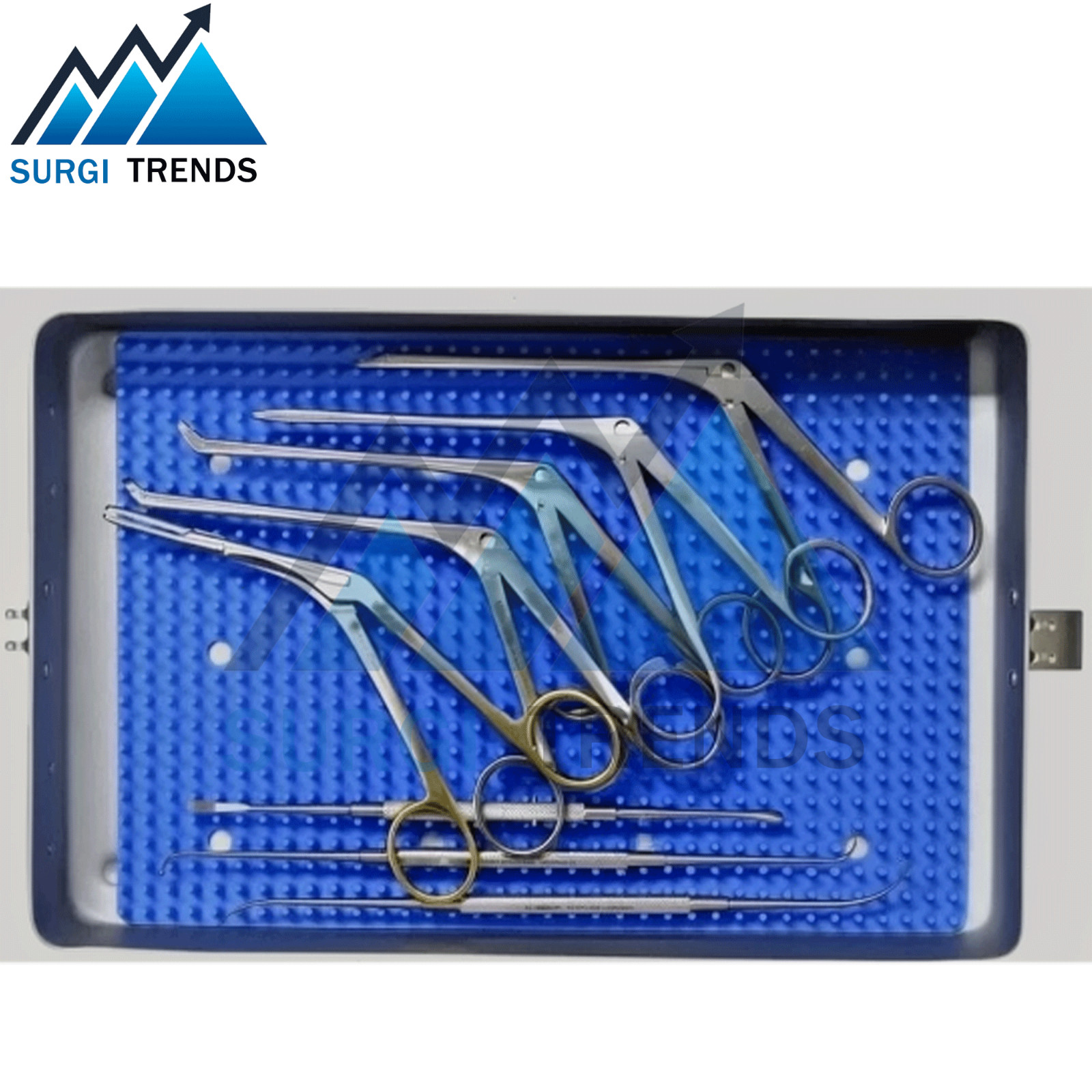 10 Pcs Minor Fess instruments set Endoscopic Sinus surgery ENT Surgical Set