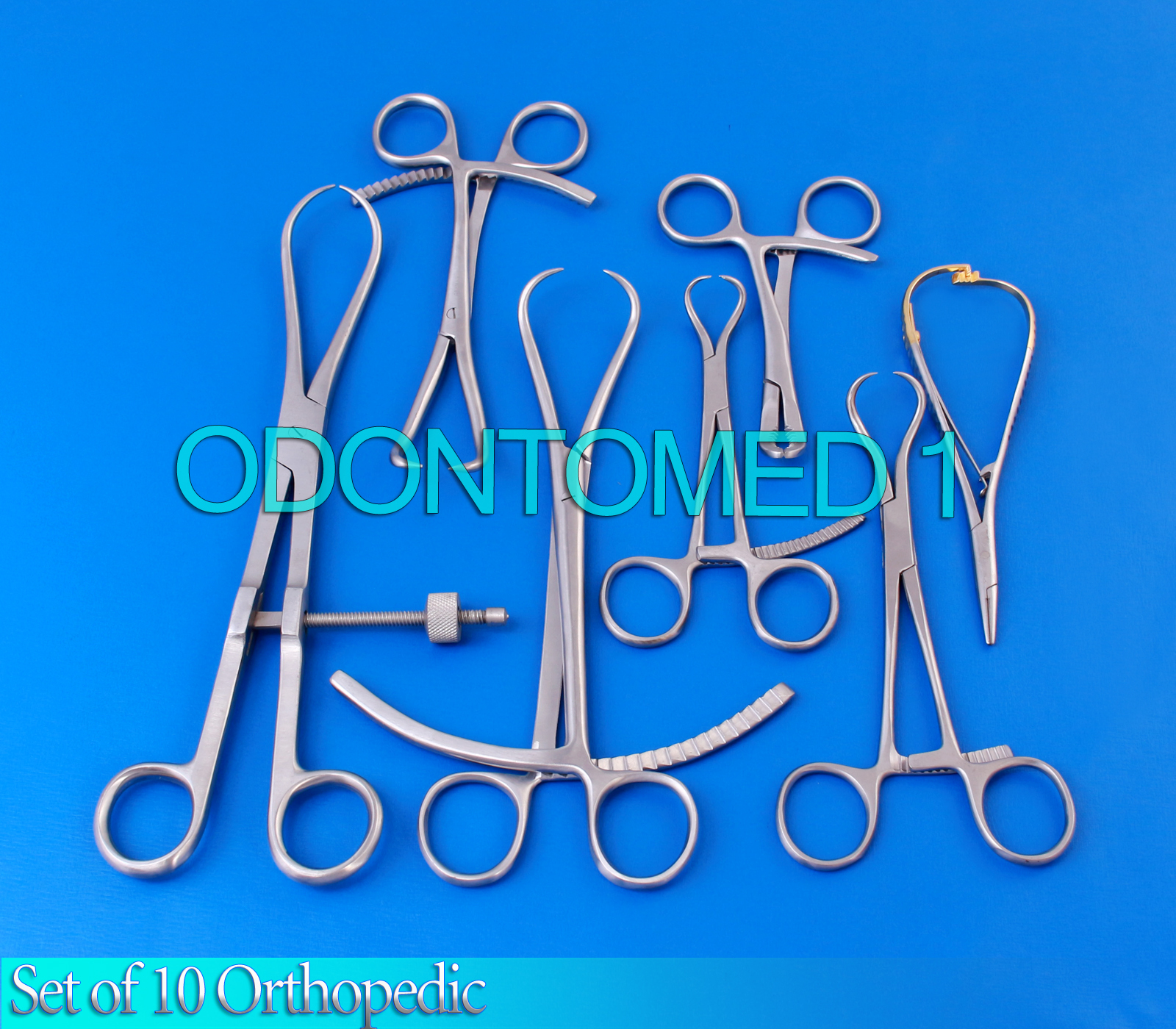 Set of 10 PCS Orthopedic Surgical Instruments