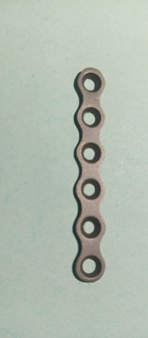 2mm Veterinary Maxillofacial Adaption Straight Plate Mandible Titanium