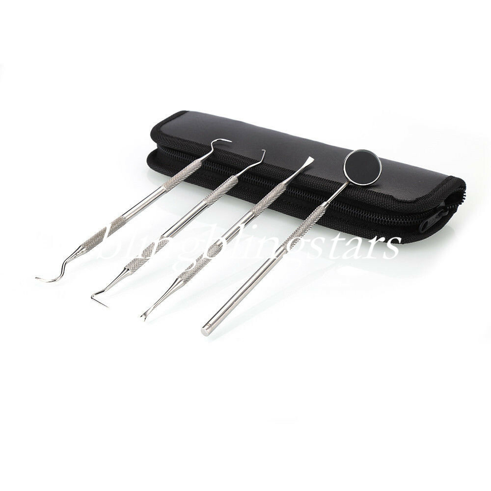 4 Pcs Teeth Cleaning Dental Hygiene Kit Tools Set Surgical Pick Remover Tarter I