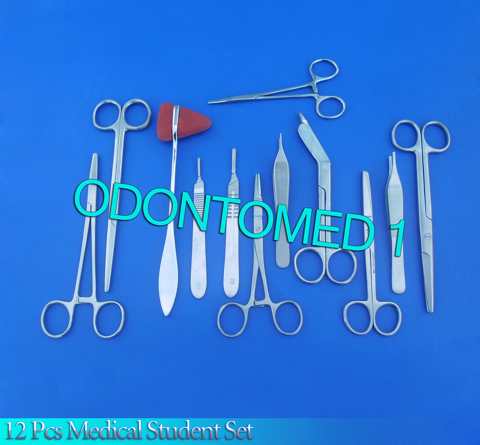 12 Pc Medical Surgical Veterinary Students Instruments Kit Ds-1228