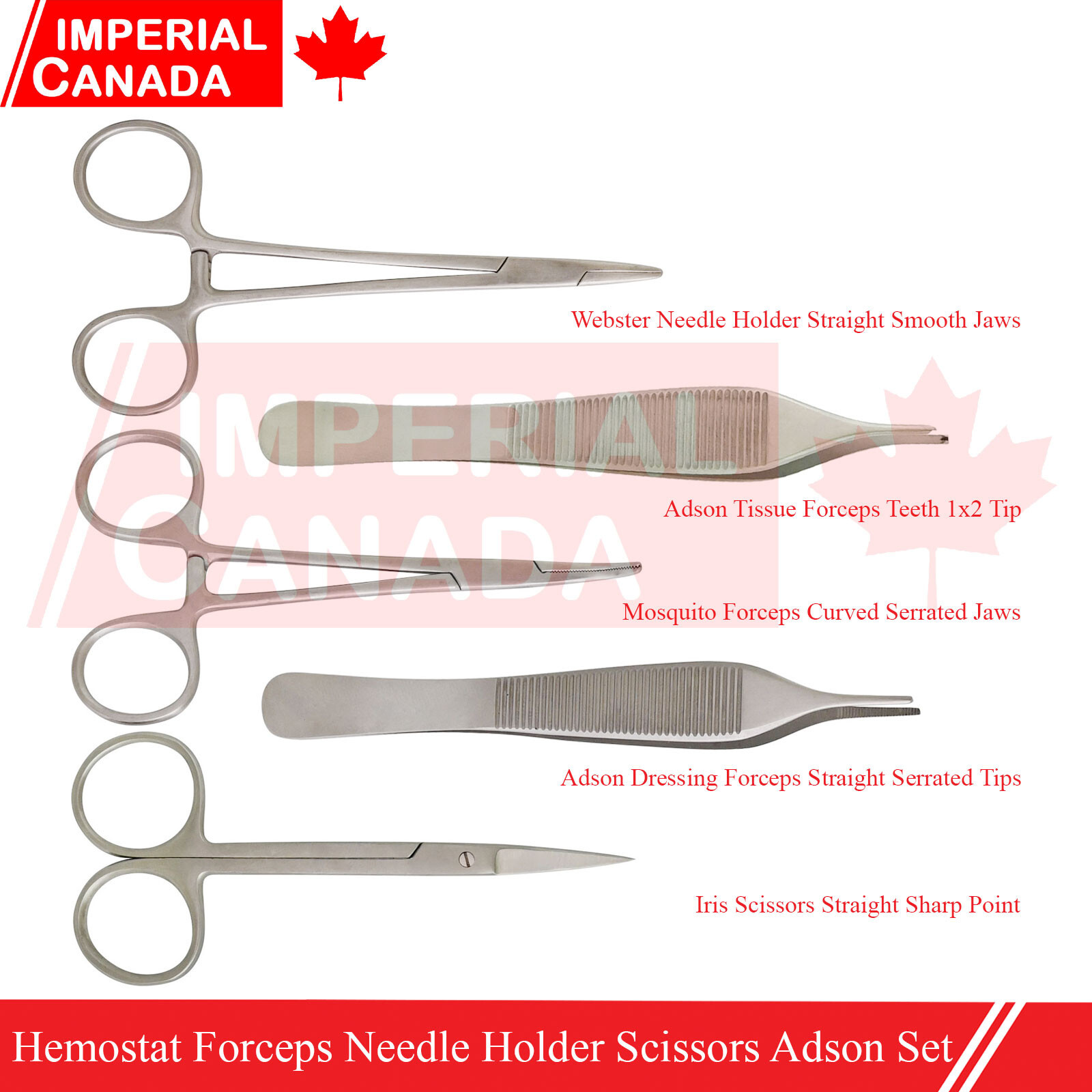 5 Pcs Surgical Instruments Set Hemostat Forceps Needle Holder Scissors DS-1951