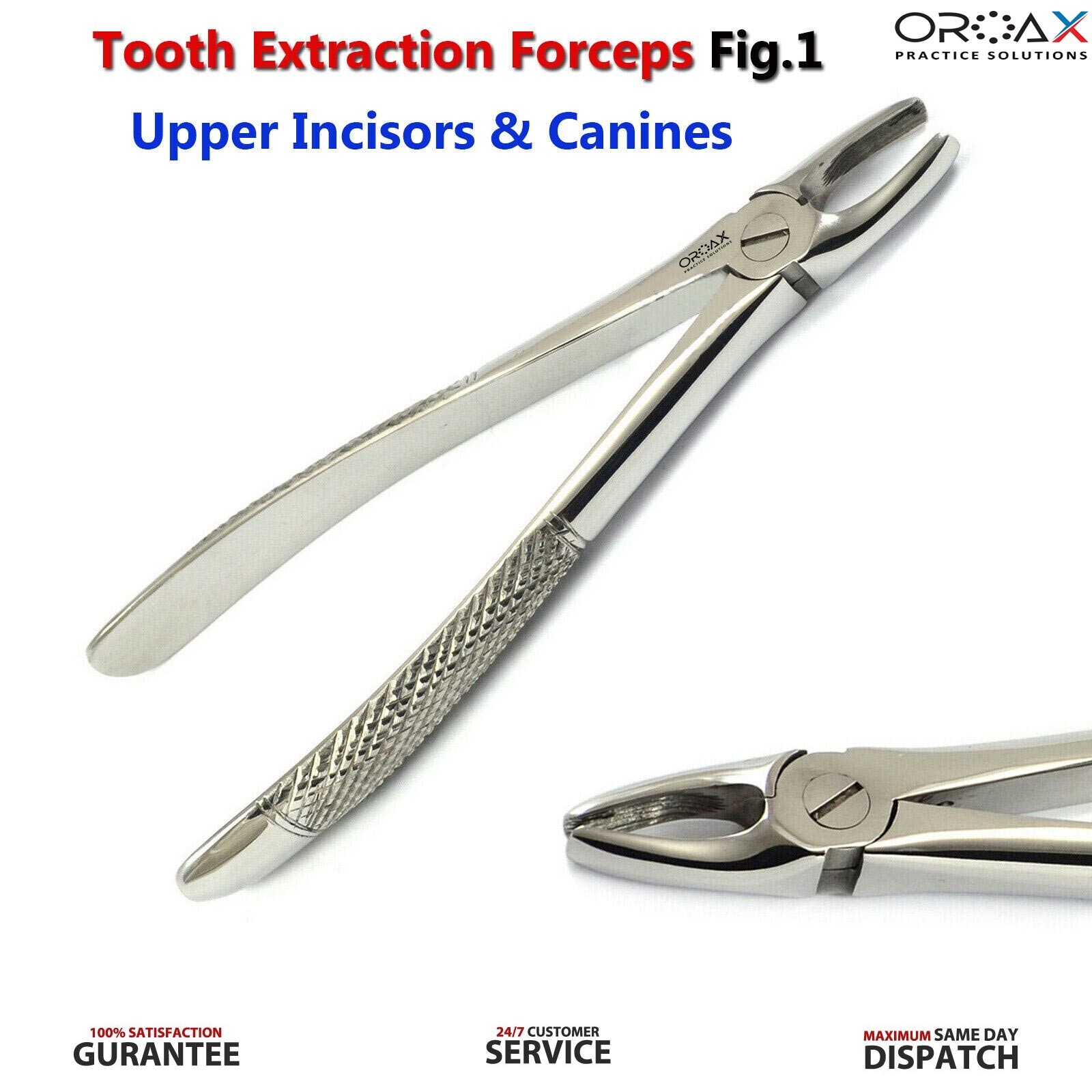 Fig 1 Tooth Extraction Forceps Upper Centrals & Canines Dental Instrument