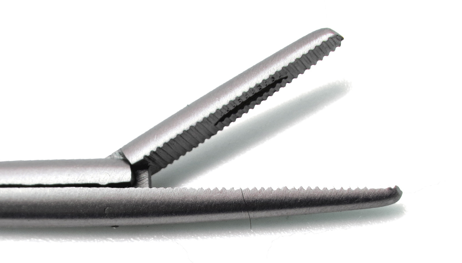 10 Pcs Alligator Forceps 3.3″ ENT Surgical Instruments