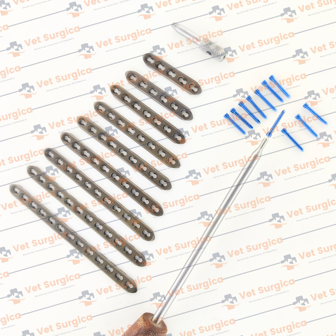 2.4mm Safety Locking Small Straight Plates 5H to 13 Holes & Screws 71 Pcs Set Ti