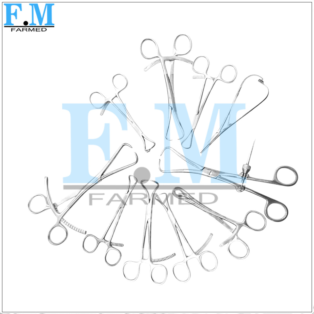Set of 10 Pcs Orthopedic Bone Reduction Holding Forceps Clamps Surgical