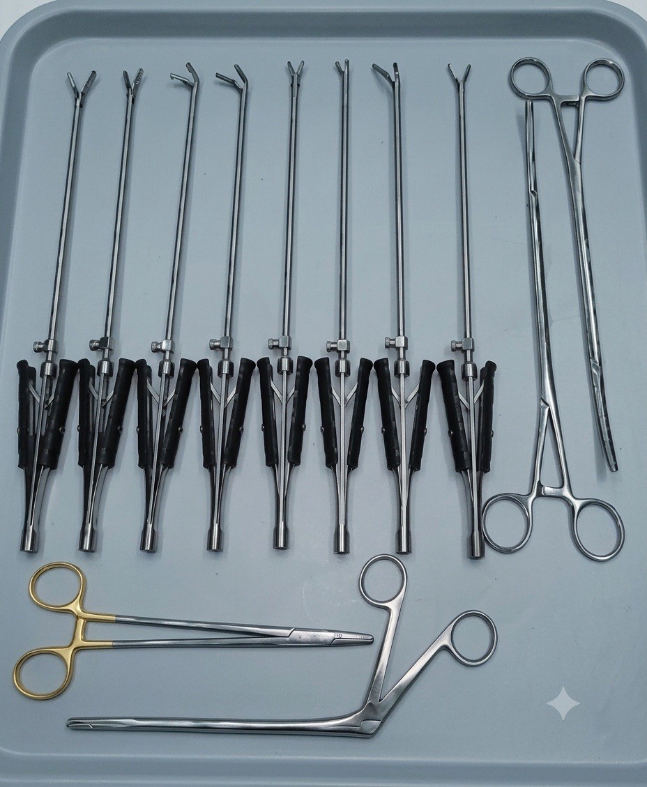 Valve Cardiac Surgery Premium Quality 12Pcs Surgical Instruments Set