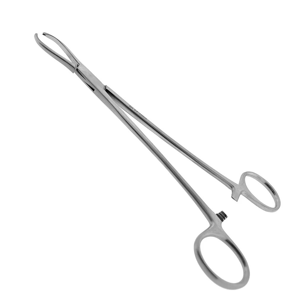 Sliver Littlewood Tissue Forceps 2×3 teeth Stainless Steel Size 8″ Set of 2
