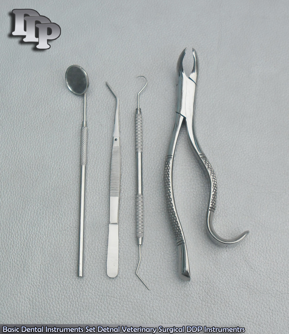 Basic Dental Instruments Set Detnal Veterinary Surgical Instrumentrs New