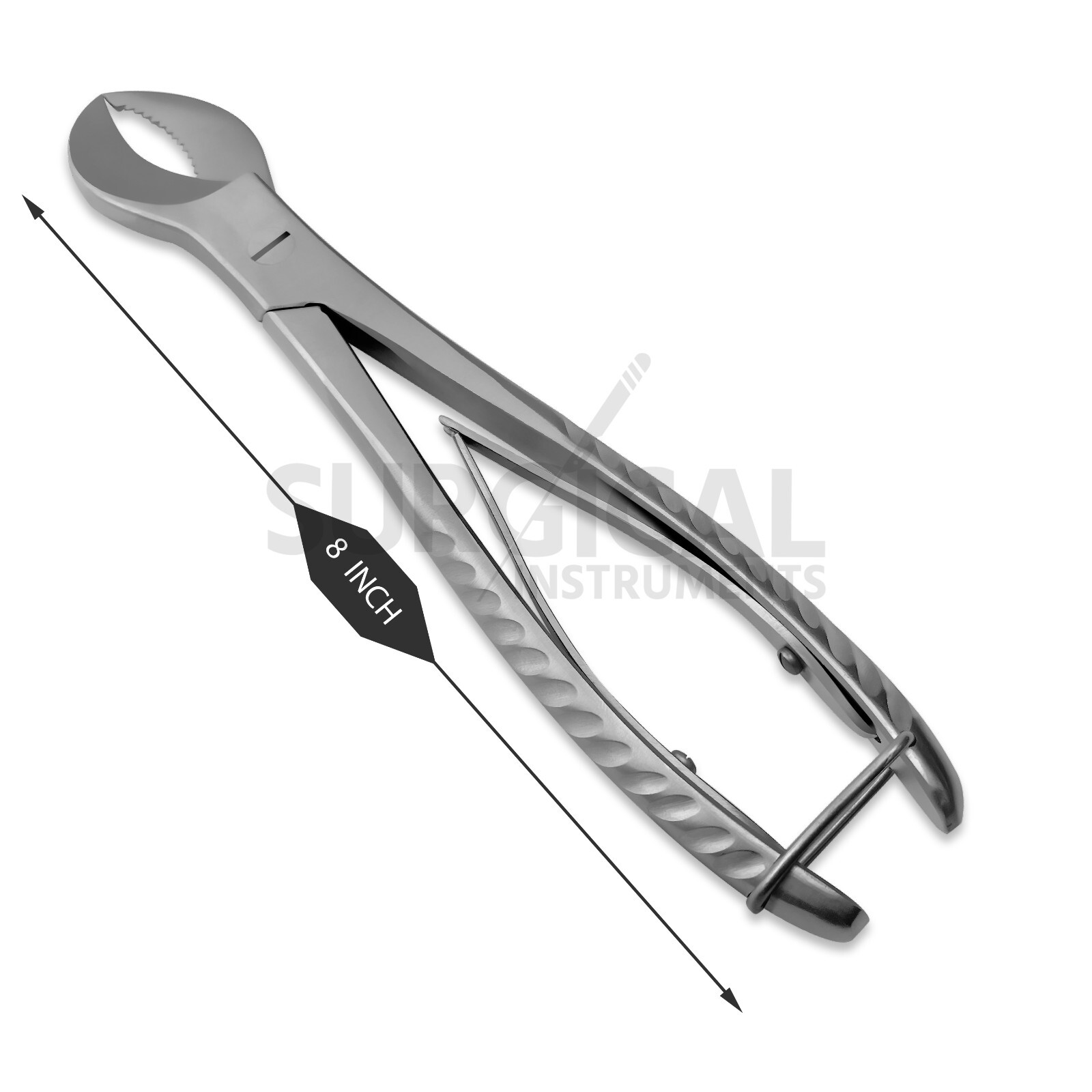2 Pcs Cow Horn Plaster Nipper Surgical Dental Instruments Stainless German Grade