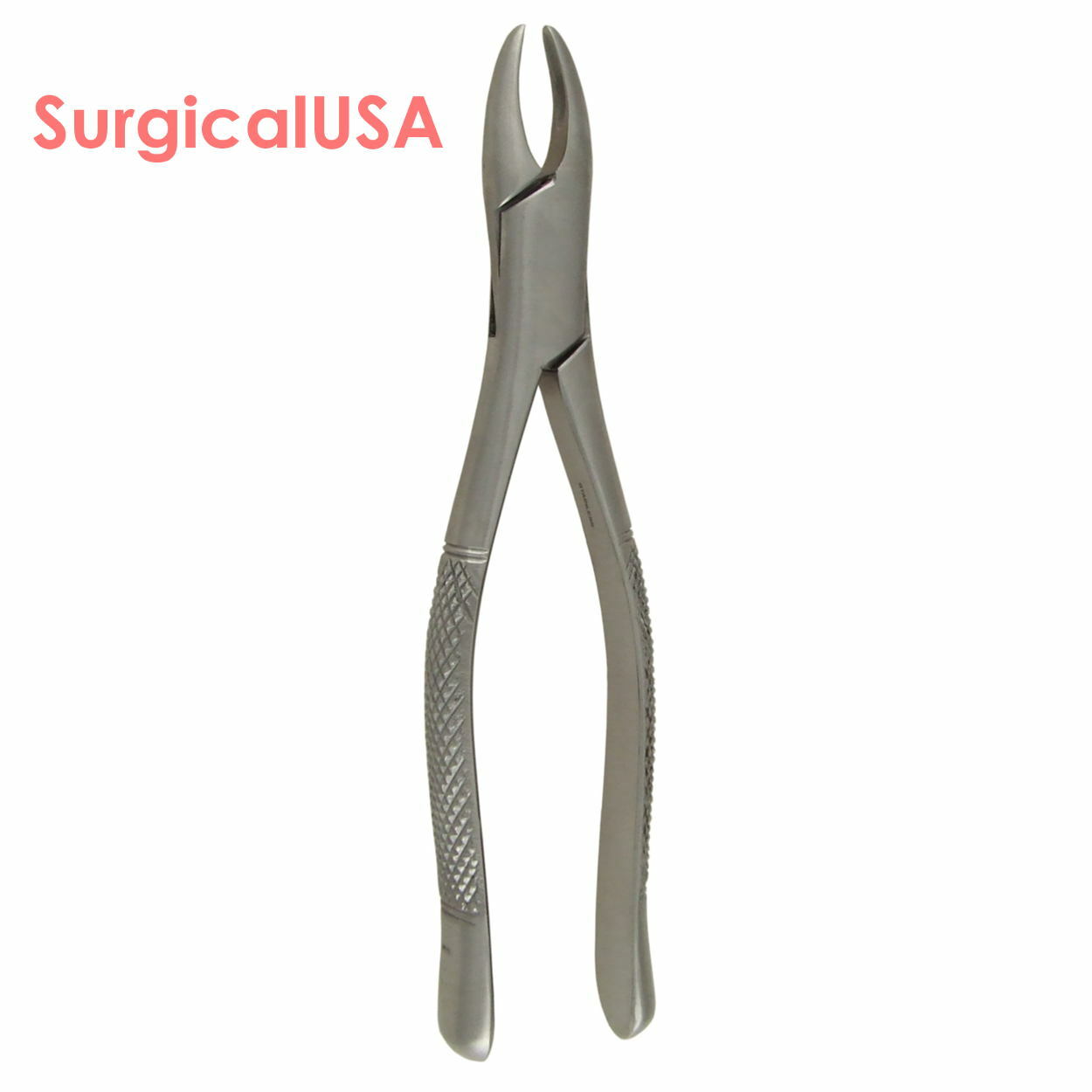 Dental Extracting Forceps #1HEN Serrated Beaks Dentist Surgical Instruments