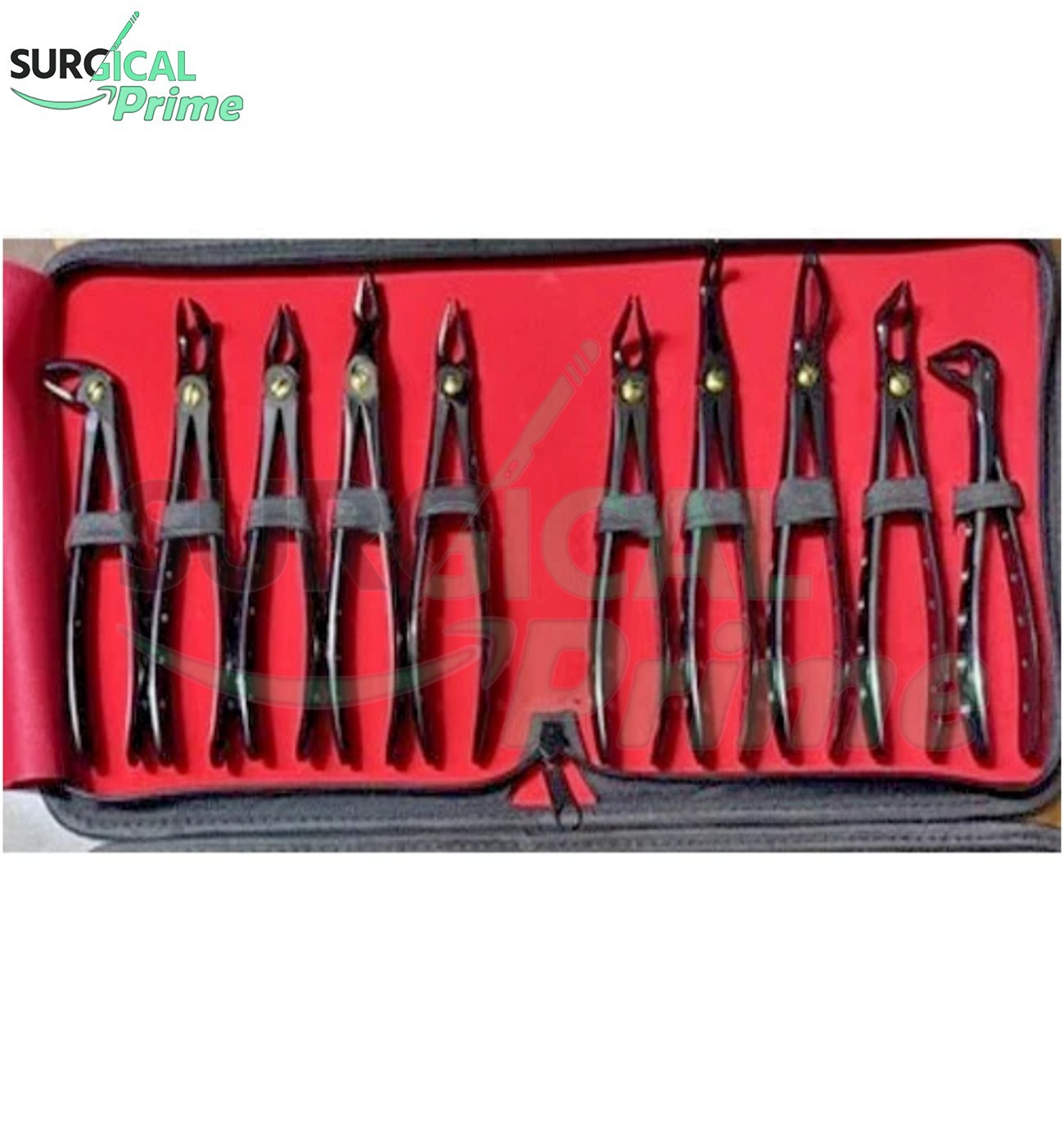 Black Extracting Forceps Set of 10 Pcs – Premium Dental Extraction Forceps Kit