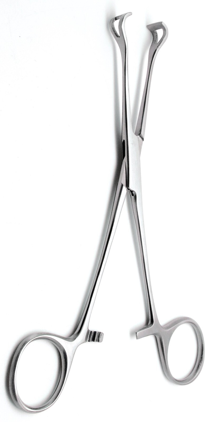 Babcock Organ Grasping Manipulation Forceps 14″ Stainless Steel