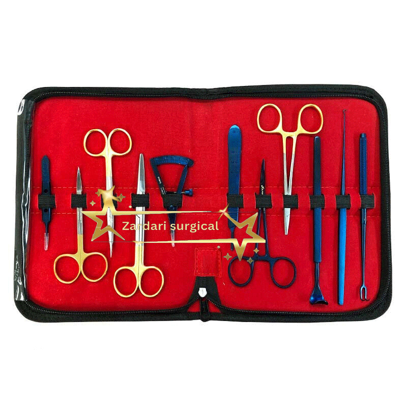 Kit Set of 11 PCs CE Blepharoplasty Plastic Surgery High Quality Instruments