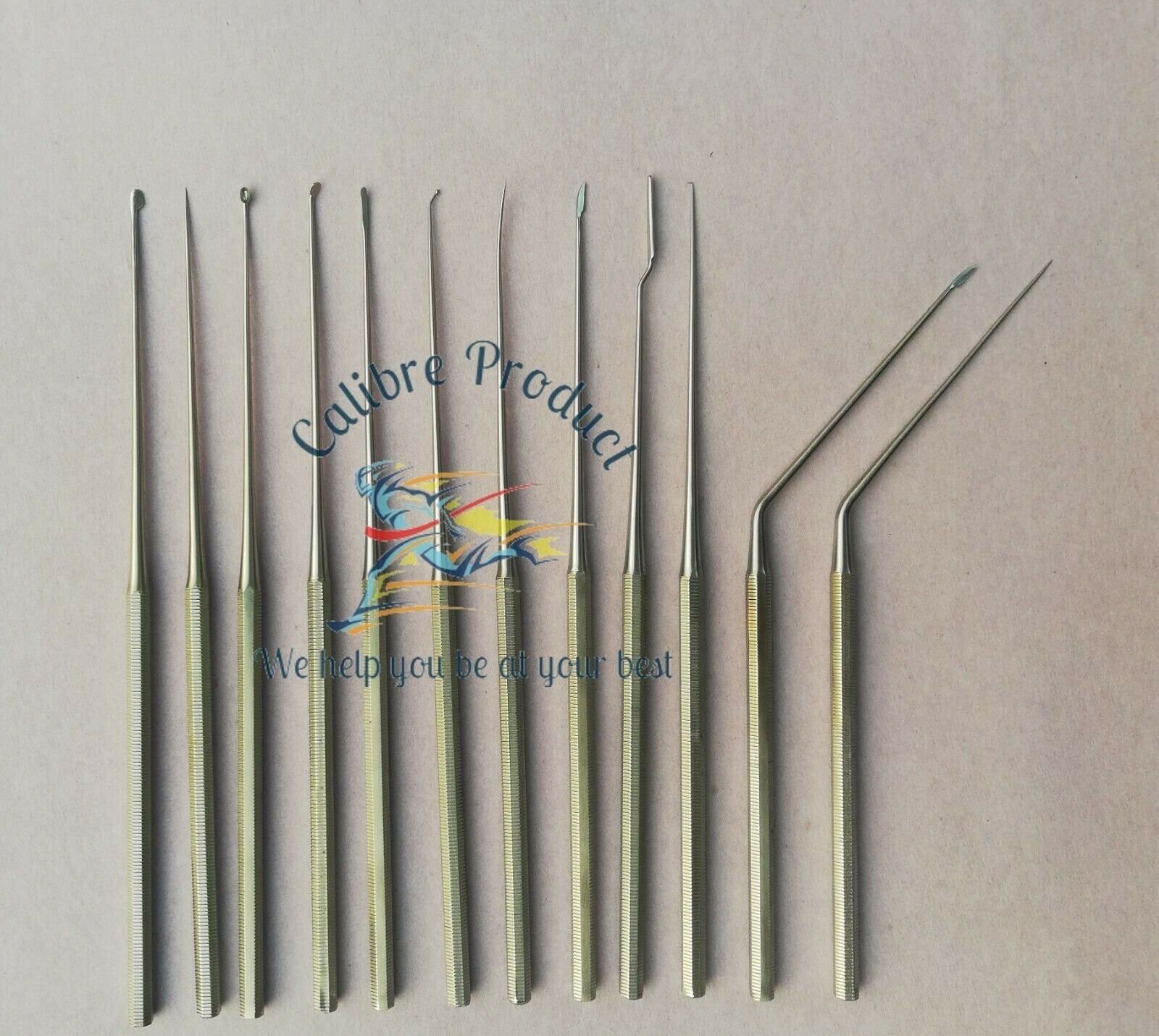 Shea Ear Operation Micro Repositor Set of 12 Pcs Surgical-ENT With Sterlize Box