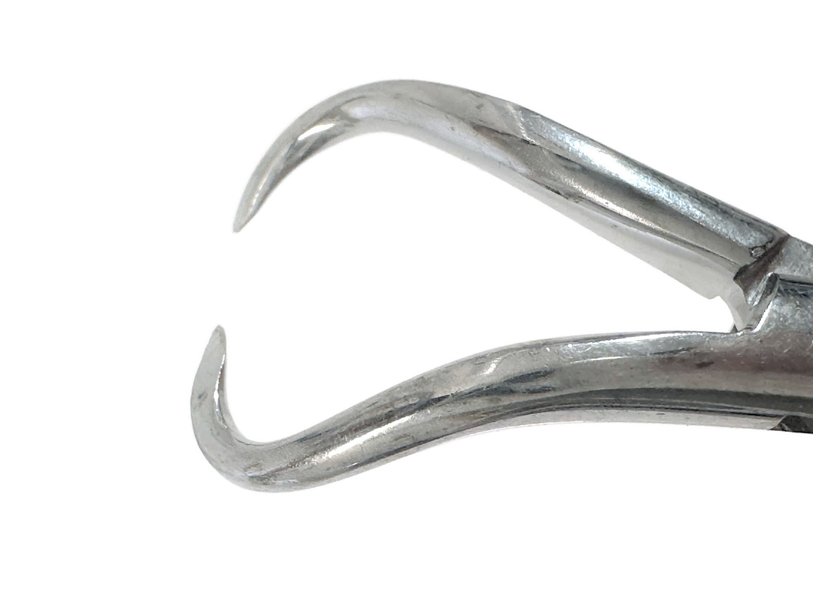 Jarit 110-100 Backhaus Towel Forceps, Mirror-Finish, 3-1/2in A.