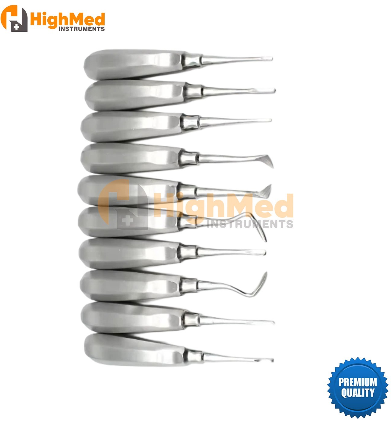 10Pcs Dental Elevators Tooth Set Stainless Steel Teeth Tools Kit