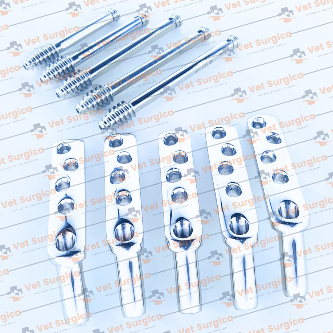 DHS 4.5mm DCP Plates 135° 4 Holes with Lag Screws 80mm to 100mm 10 Pcs Set SS