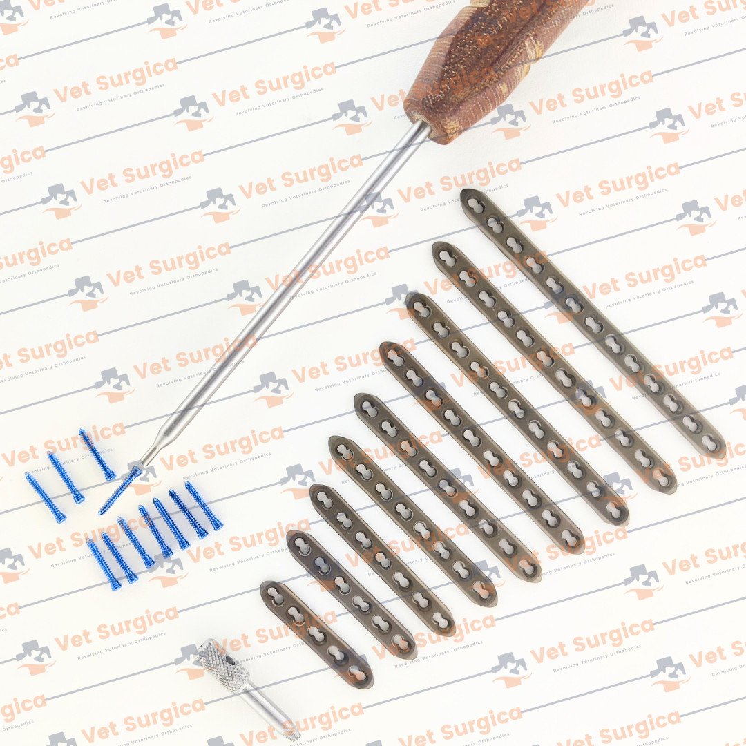 2.4mm Safety Locking Small Straight Plates 5H to 13 Holes & Screws 71 Pcs Set Ti
