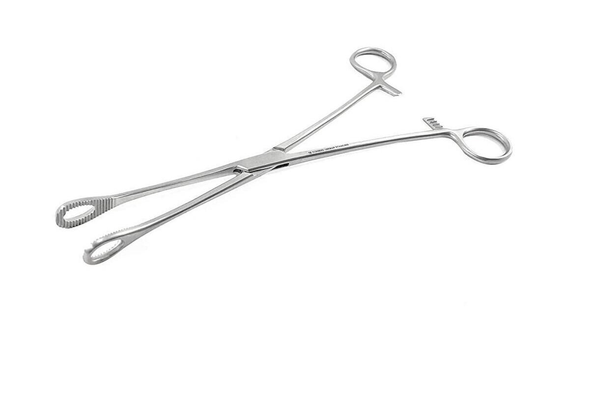 Premium Quality Sponge Holder 8 Inch (Pack of 1) Surgical Instrument