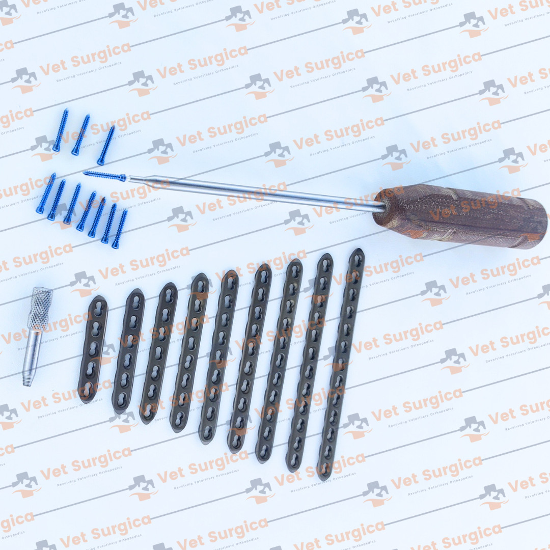 2.4mm Safety Locking Small Straight Plates 5H to 13 Holes & Screws 71 Pcs Set Ti